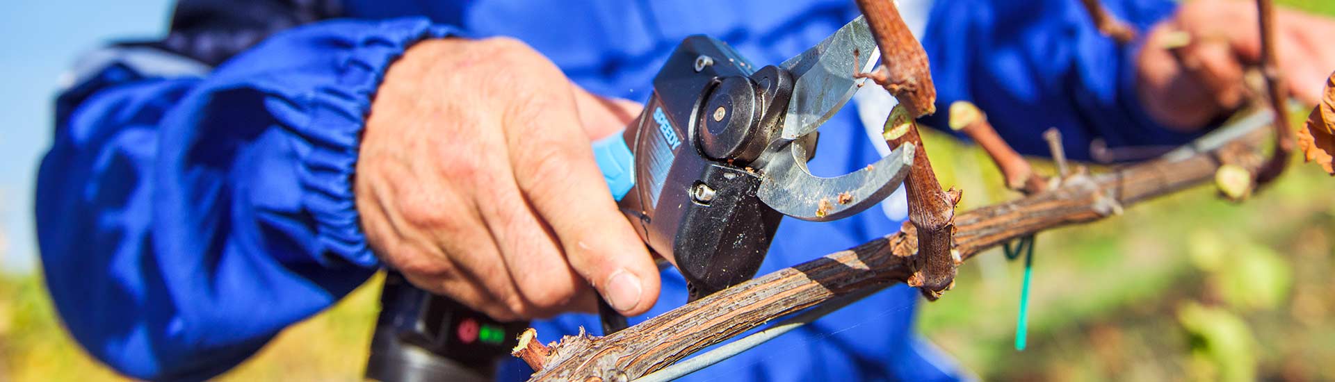 Campagnola Electric shears with plug-in battery